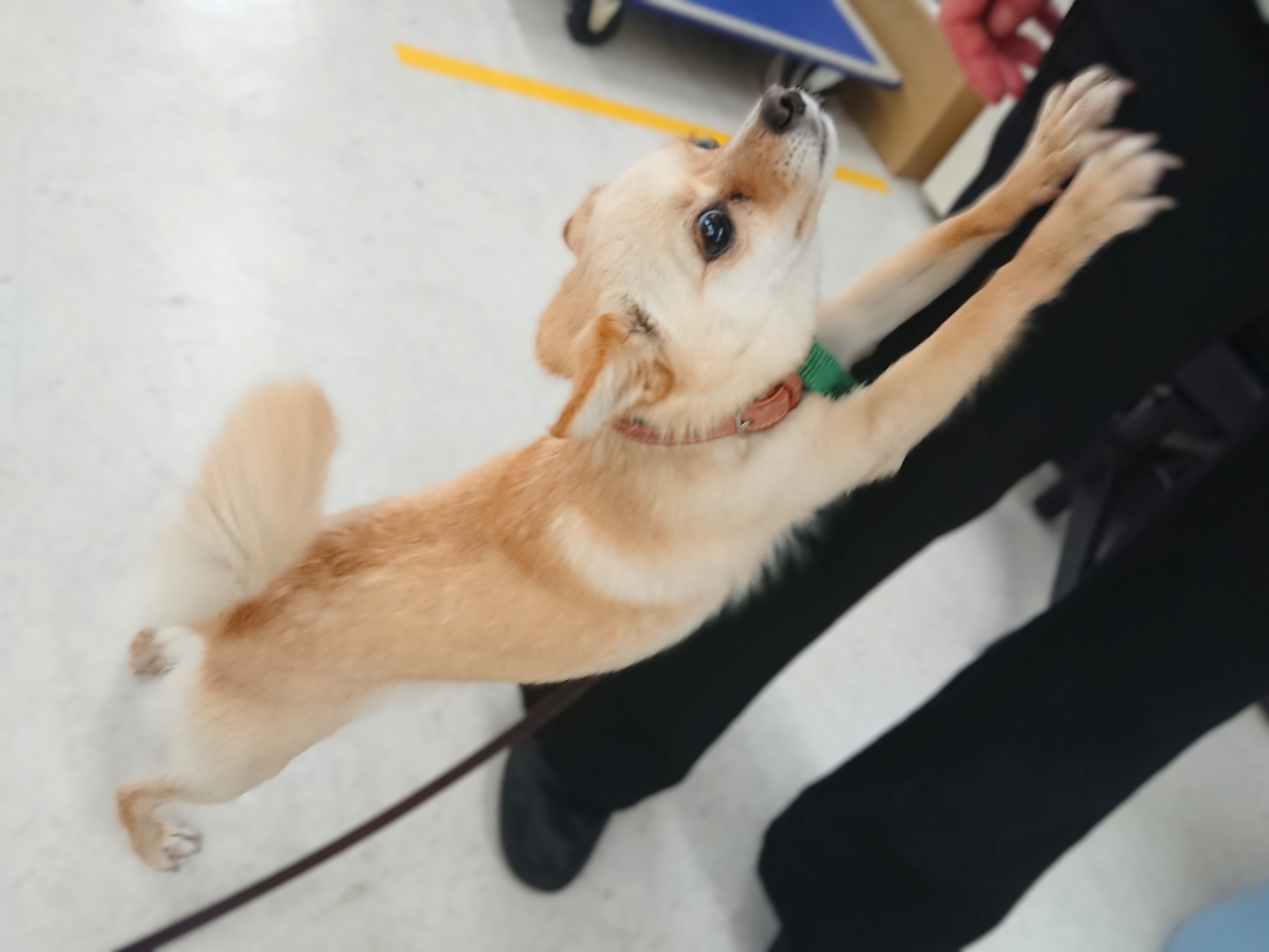 だっこ～！！