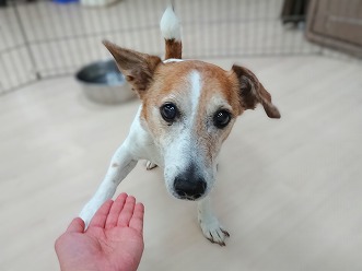 愛💖