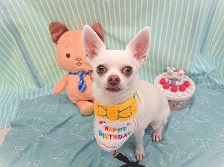 HAPPY　BIRTHDAY🎉✨