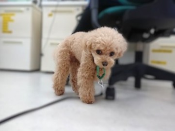 ミッションインポッシブル🤣💕