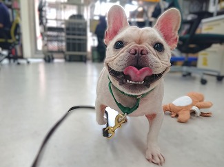 ラッキーハート💖