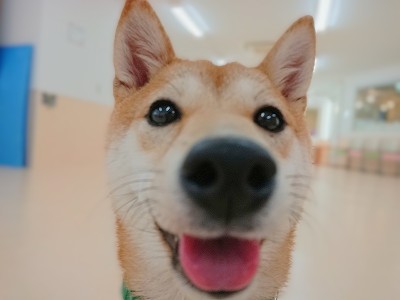 😛😛😛