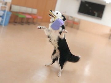Shall We Dance?💃🕺