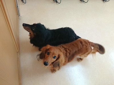 「絶対いる！！」