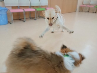 新たな出会い💕