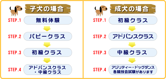 グループしつけ教室の2つのコース