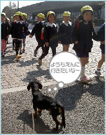 幼稚園コースは朝から夕方までの通園式しつけトレーニング