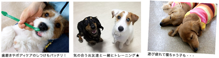 幼稚園コースの特徴画像