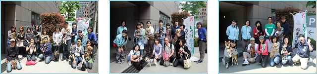 「2010台東区犬のしつけ教室」集合写真