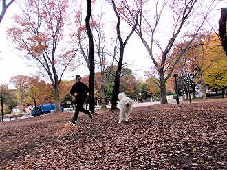 上野公園で！