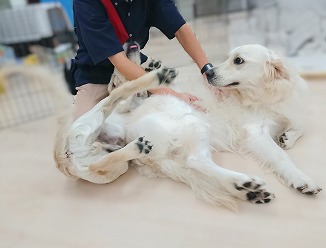 2人で一緒に💕