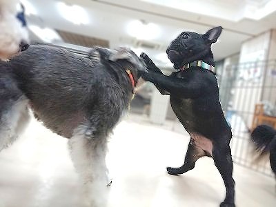 ワンプロ開始❗❗
