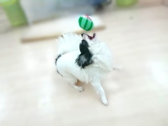 ここだ～❗❗