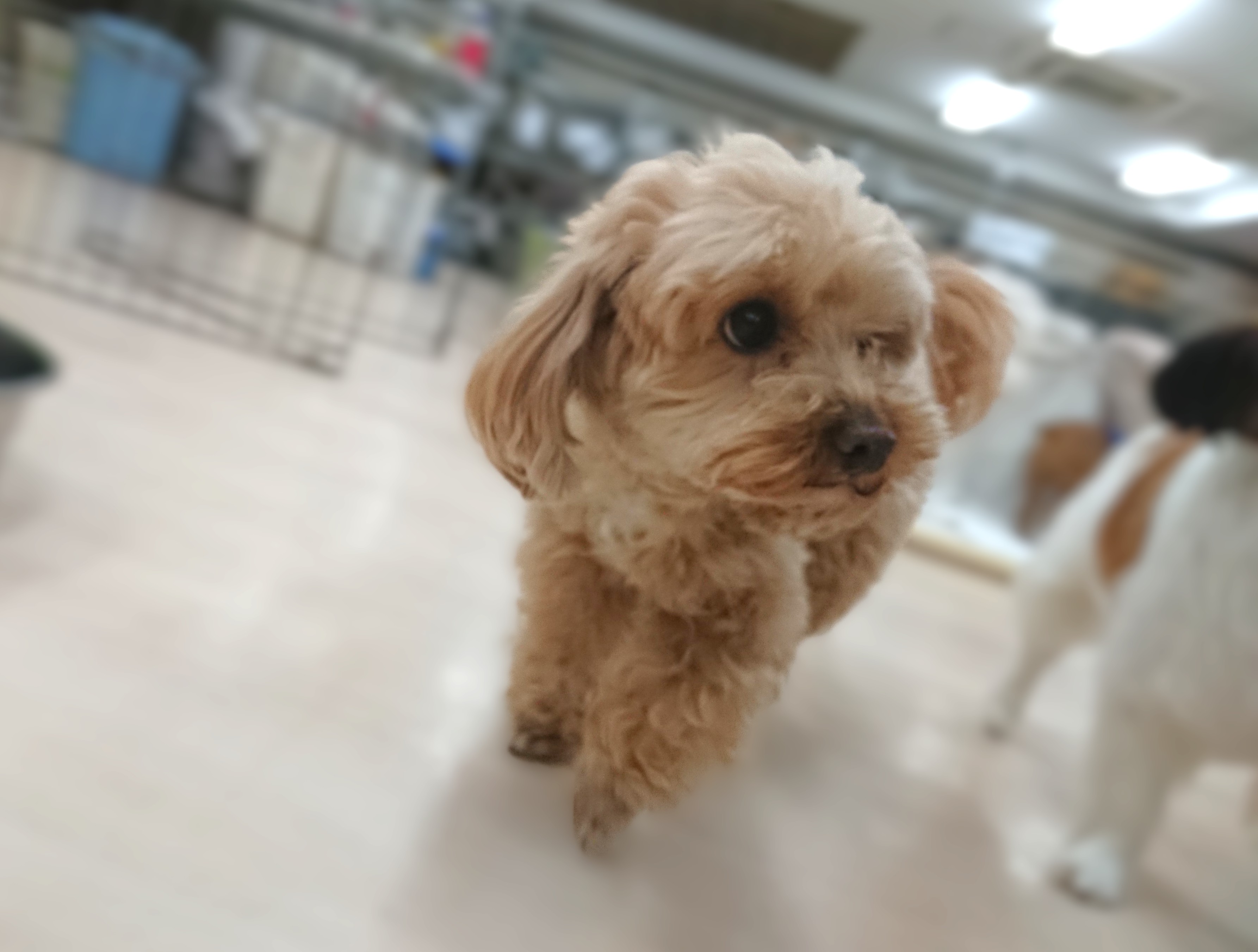 キョロキョロ