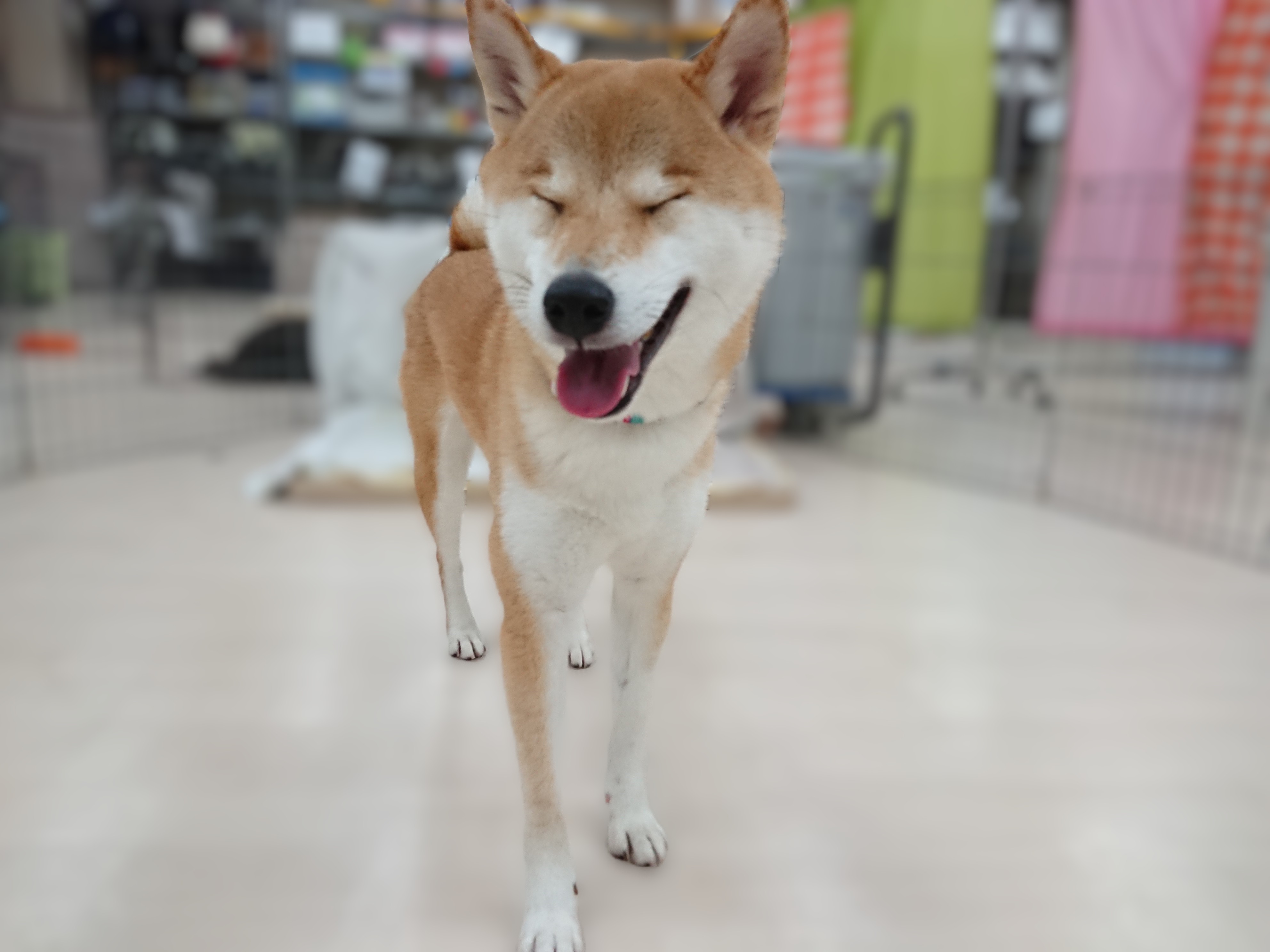 眉毛( •̀ ω •́ )y