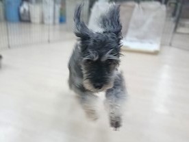 ぴょんっ