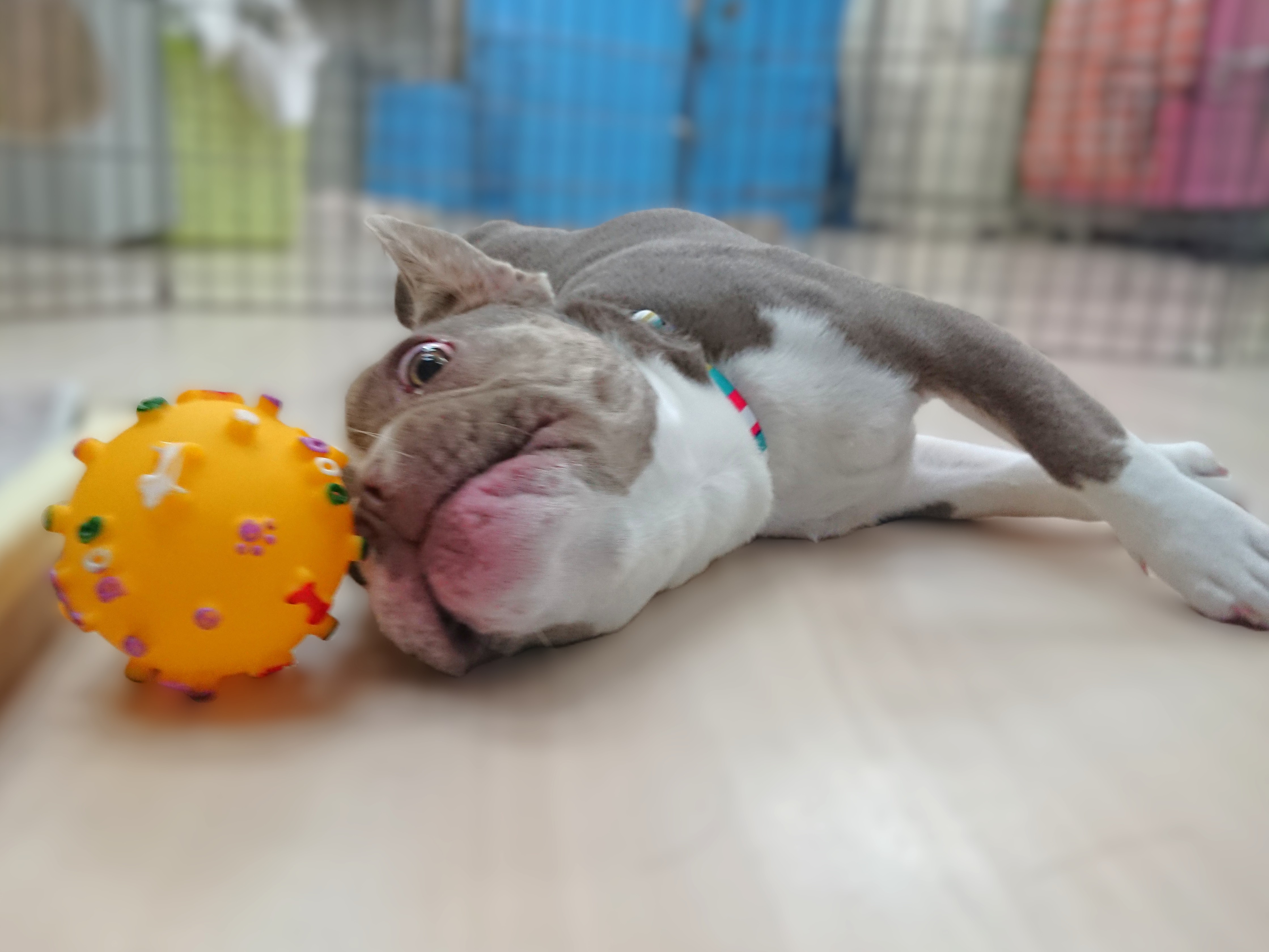 もうちょっと😲