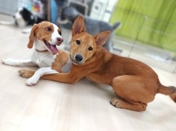 ぎゅっ💕