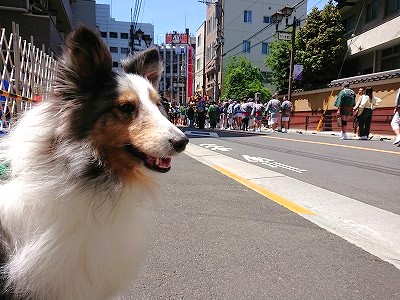 お祭りっ！