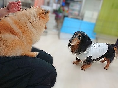羨ましいでしょ(・∀・)ﾆﾔﾆﾔ