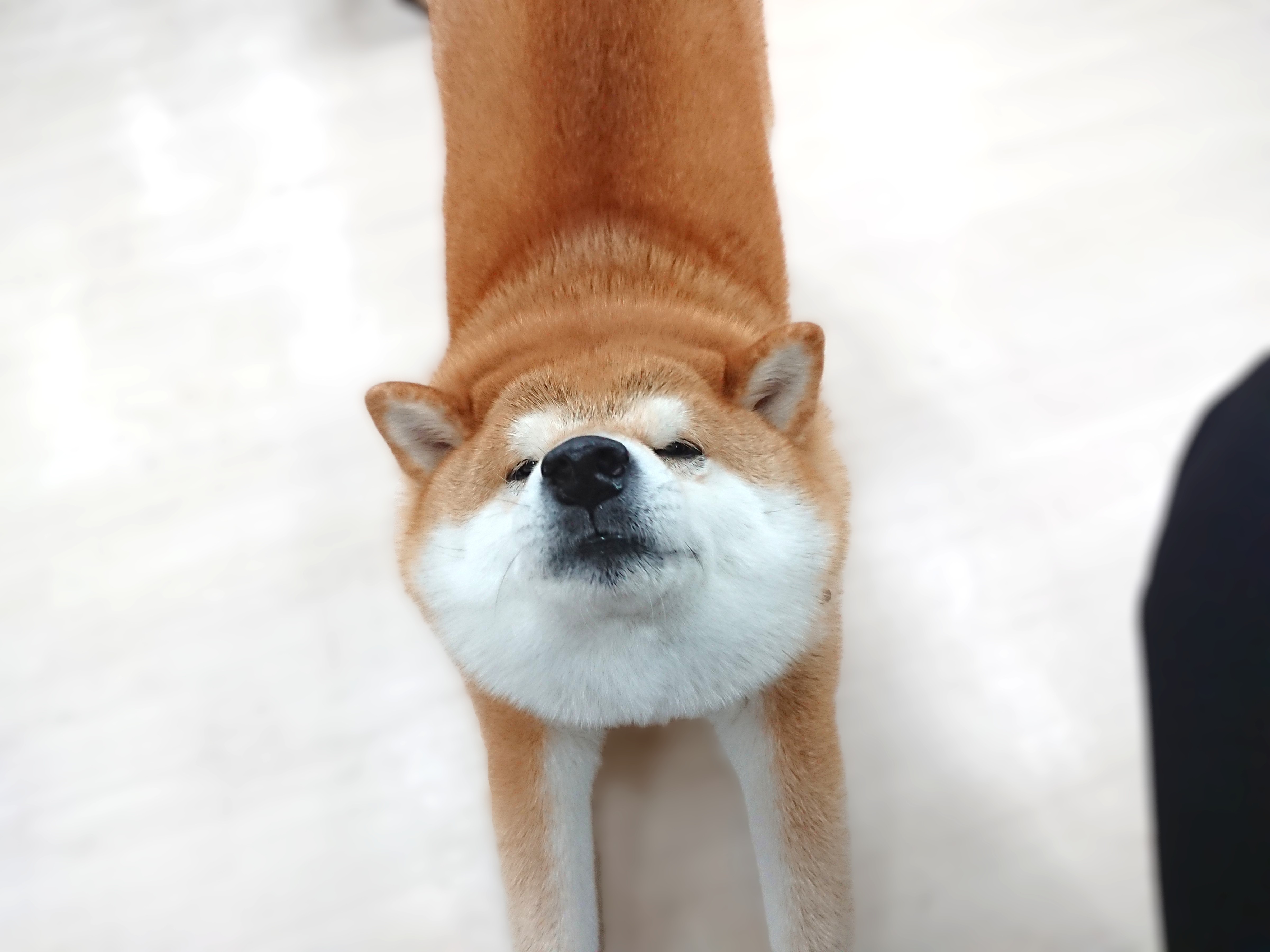 のび～～～ん😊