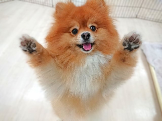 んばっ！