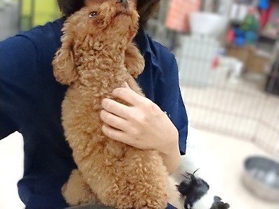 ぴったり💕