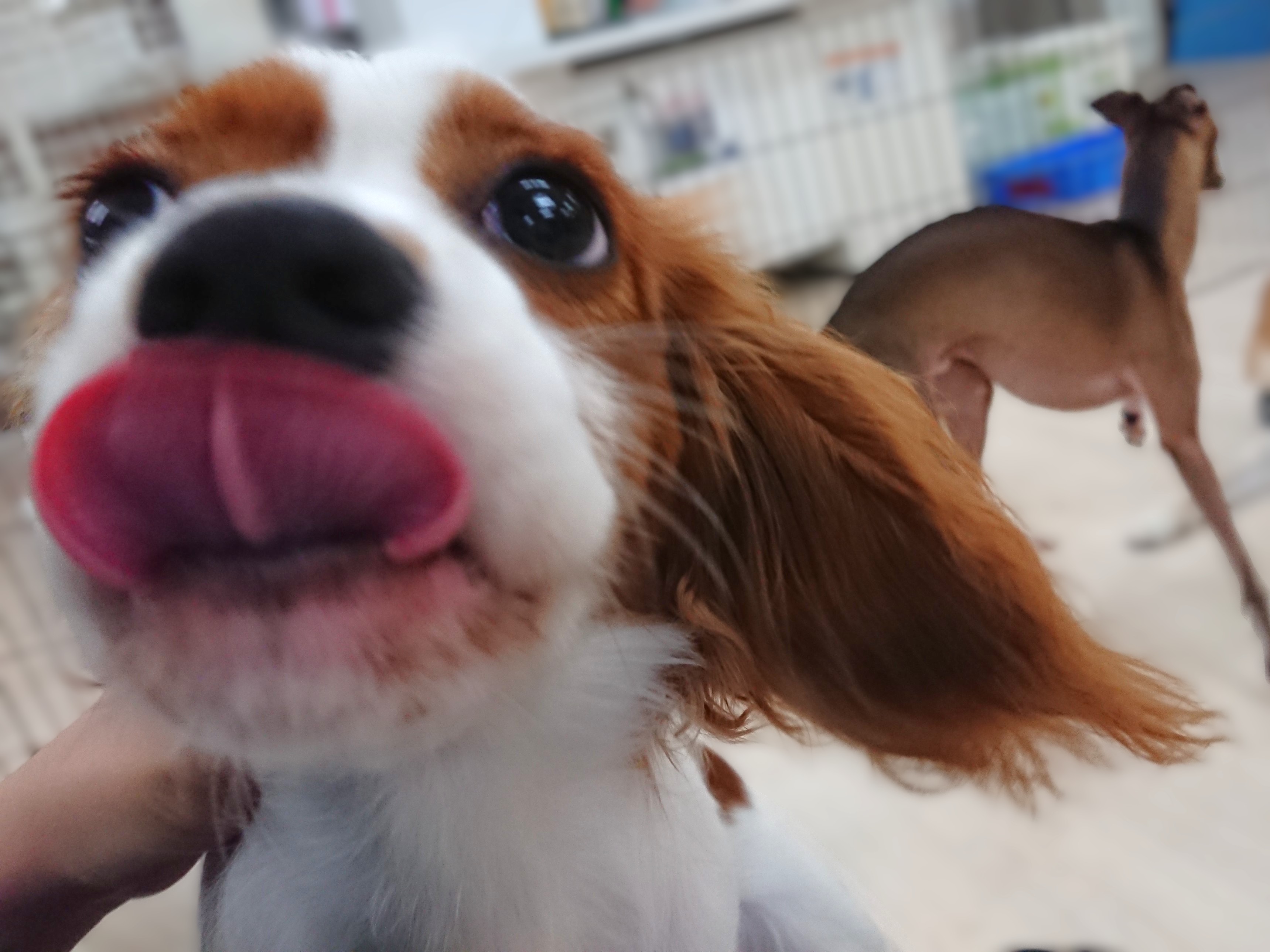 「わたしを撮ってー！！」