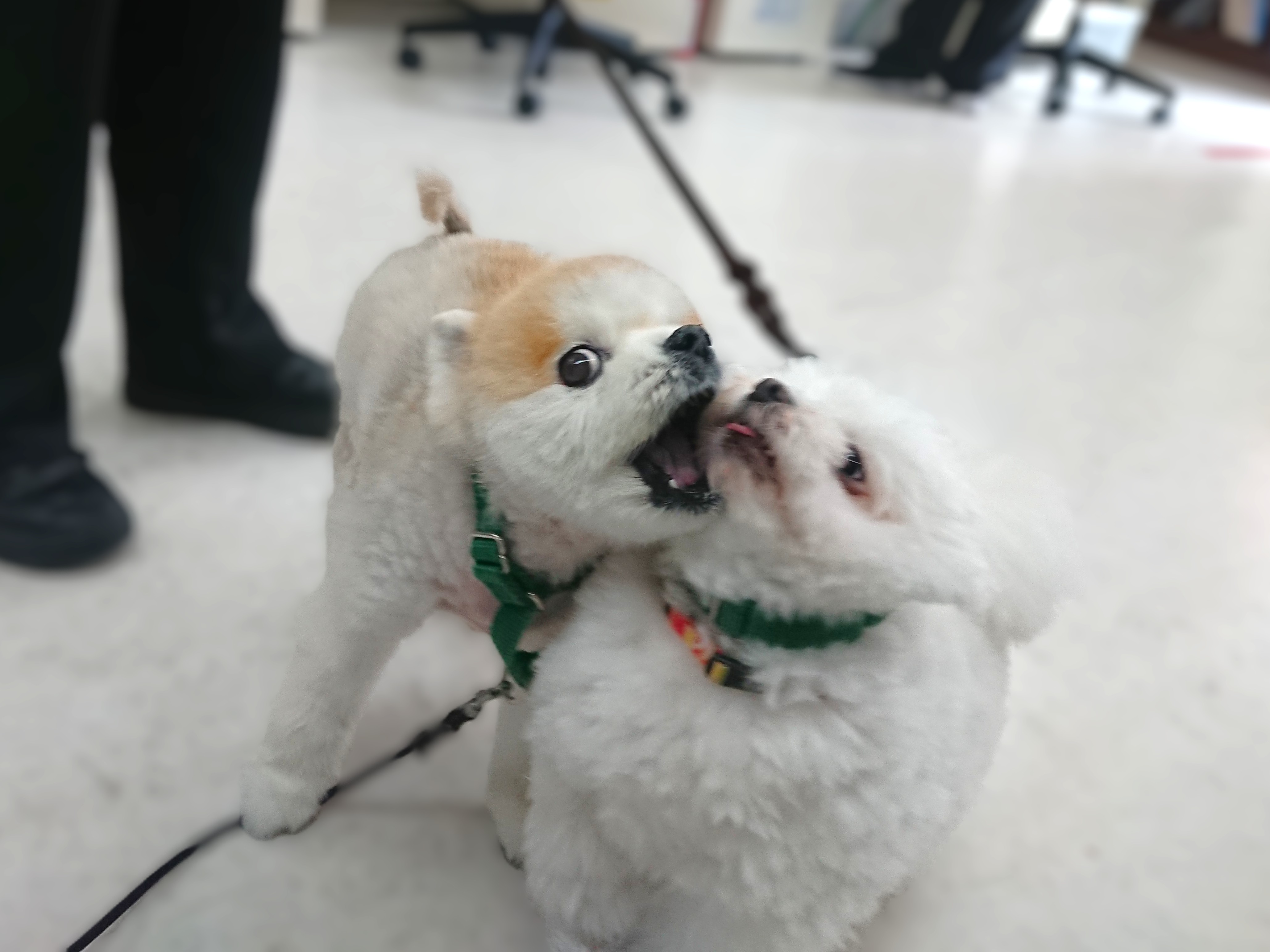 ダメ～😤