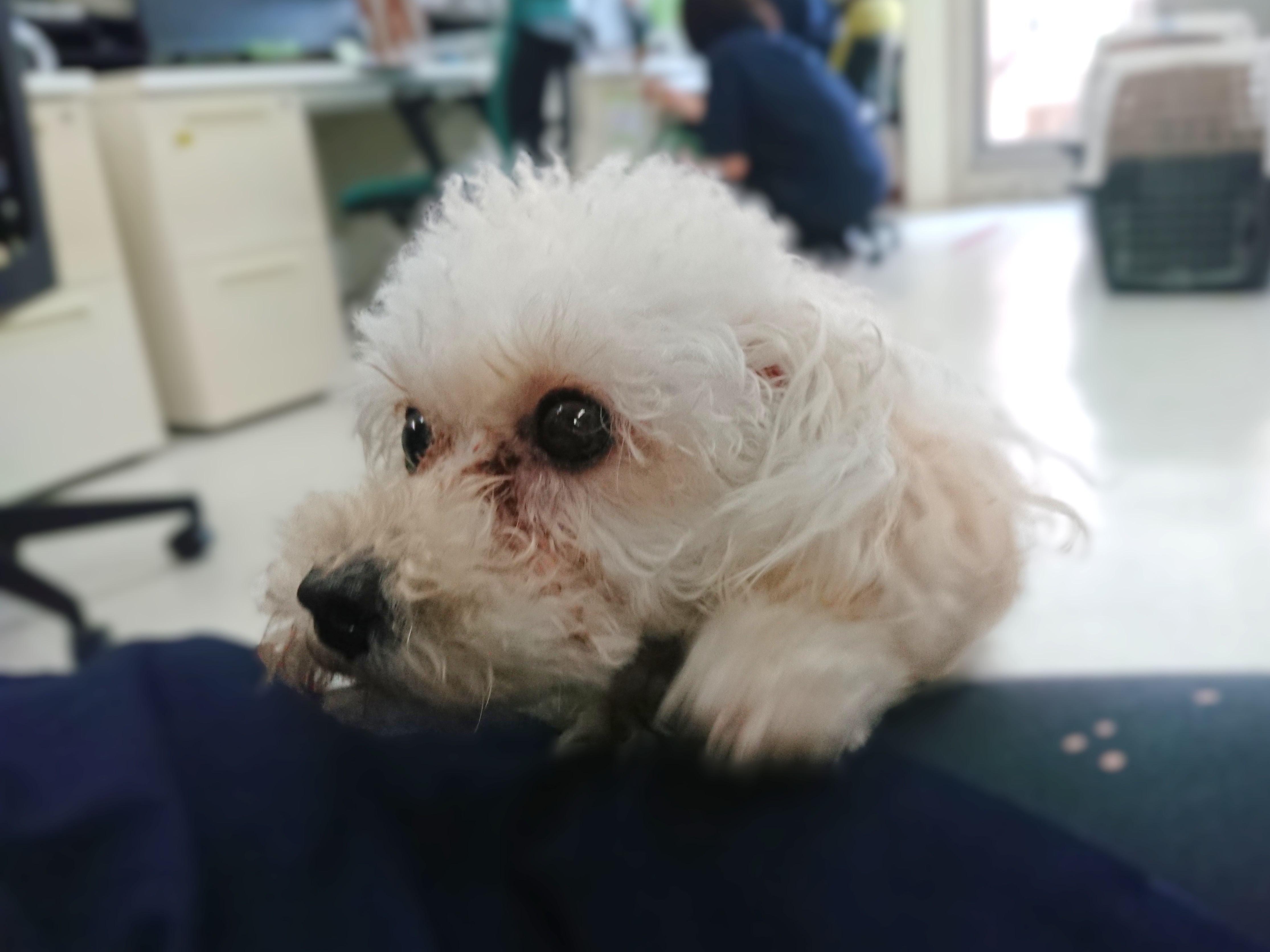 ちょこん👀