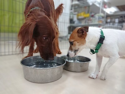 ちょっとまってね…
