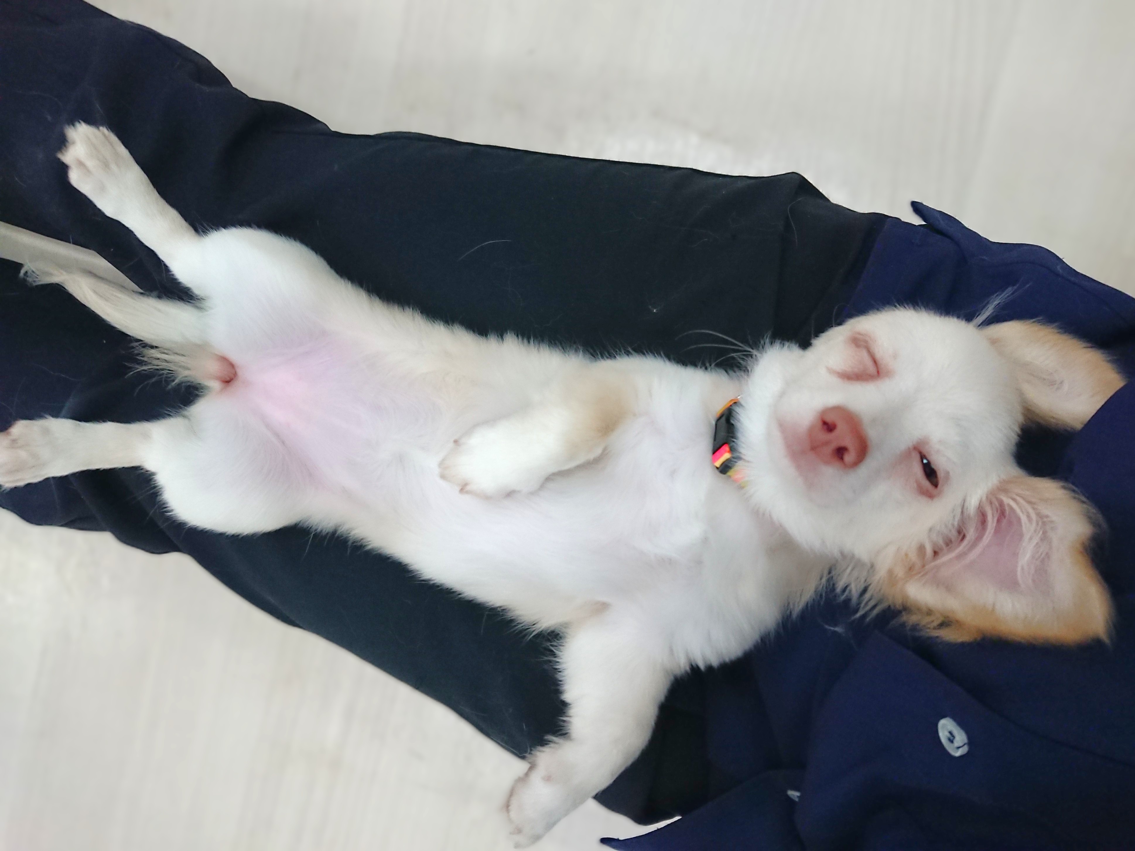 眠いけど🥺