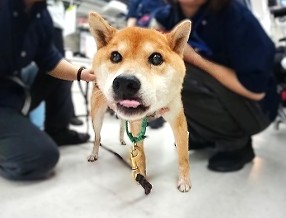 嬉しくてつい🤭