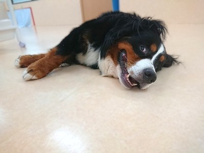 満点スマイル😆