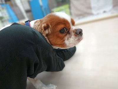落ち着く…