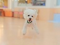 それゆけ！クリスちゃん✨