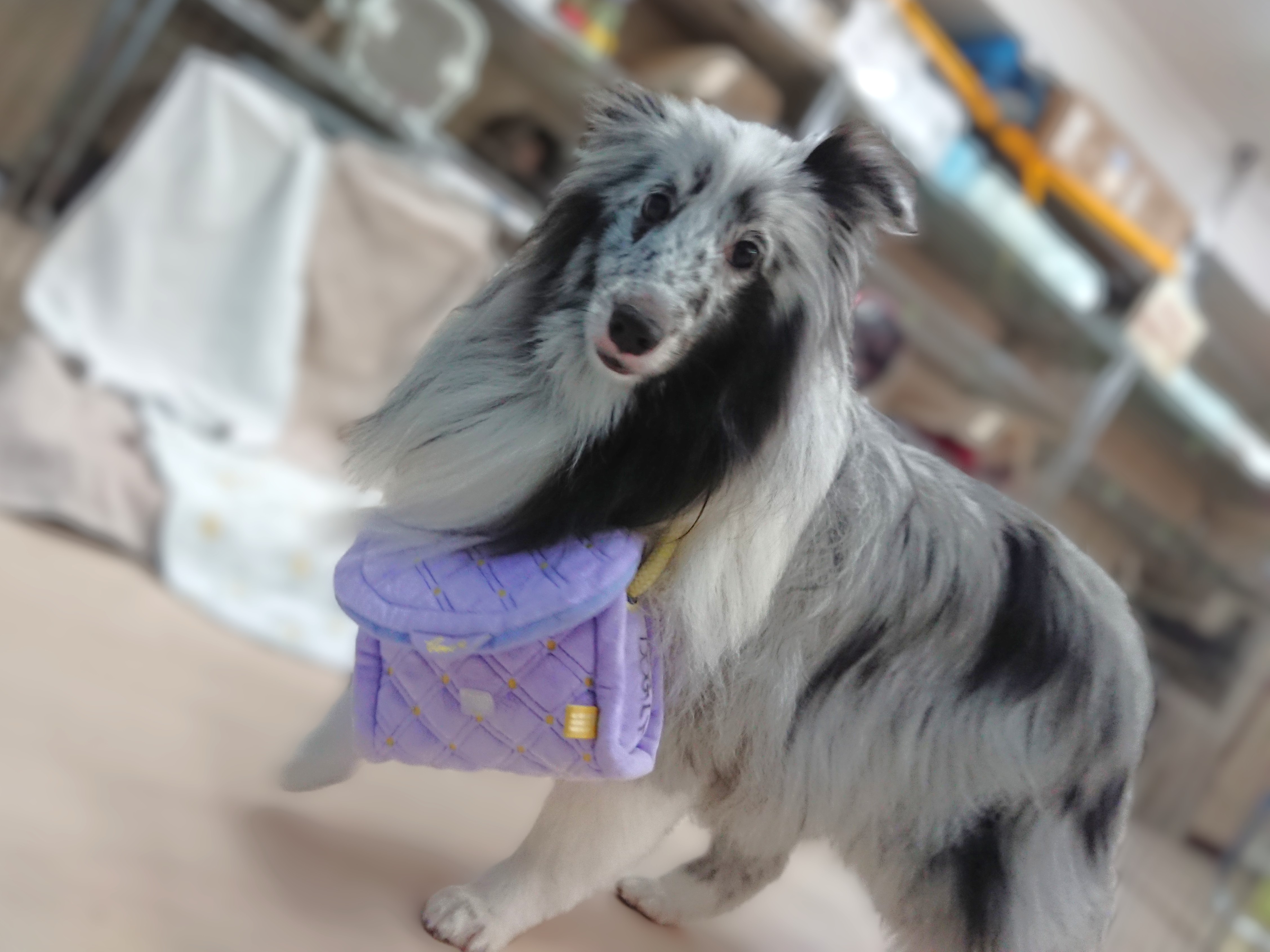 ショッピング👜✨