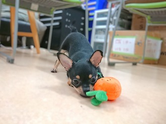 お・し・り💕