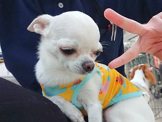 仕方ないな～😏