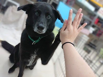 ハイタッチ会✋✨