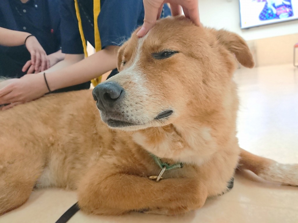 リラックス🍀