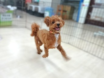 I Can Fly❗