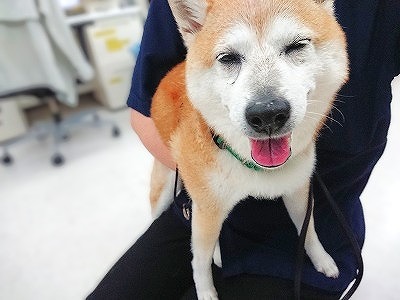 へにゃあ(⌒∇⌒)