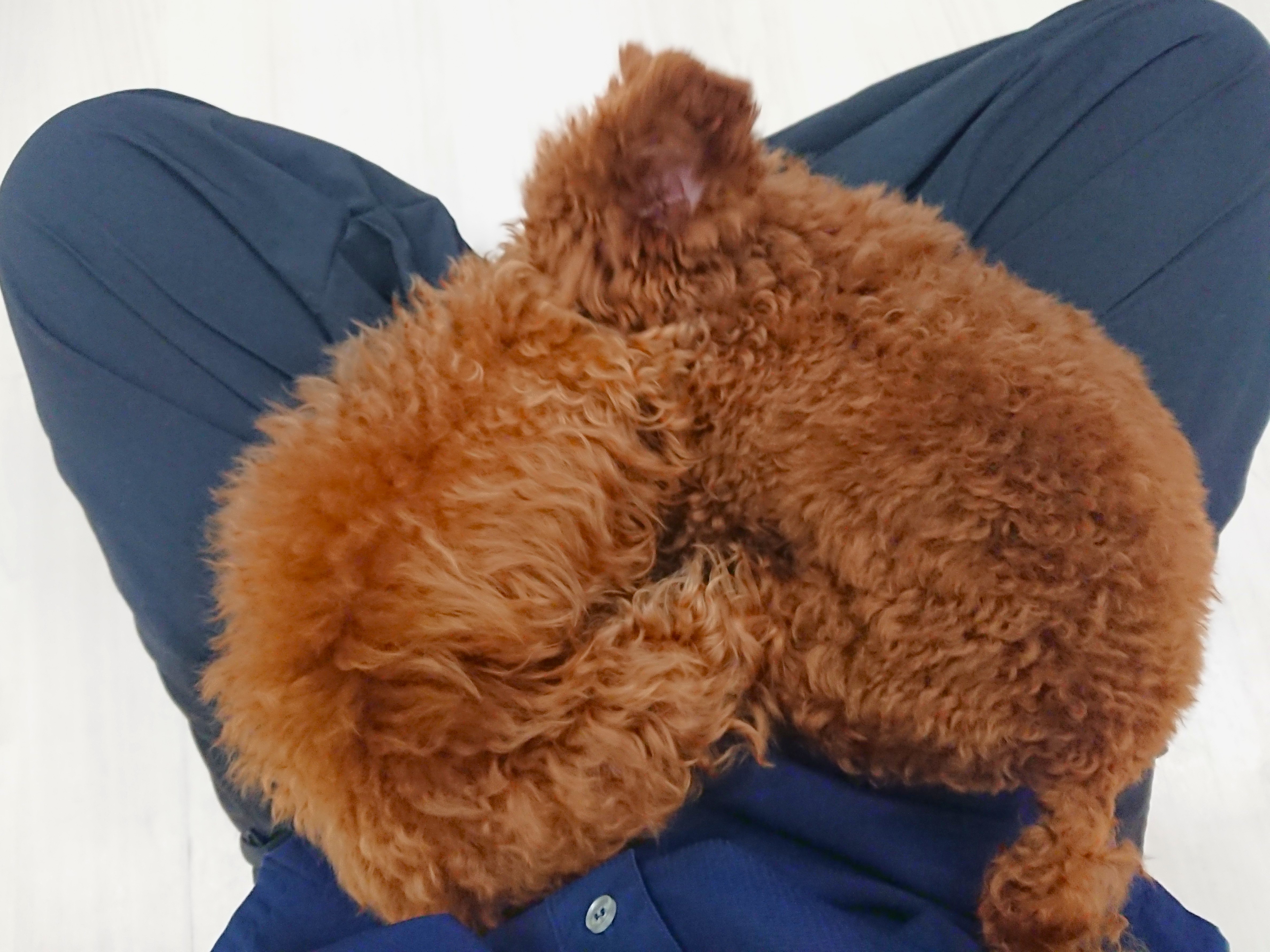 寝相💤