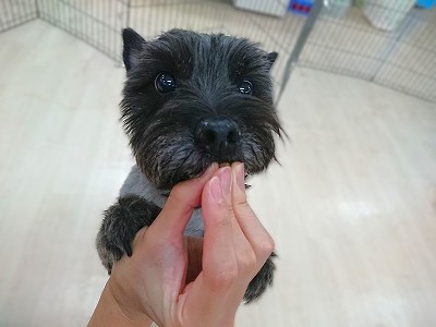 まって～🔥🔥🔥