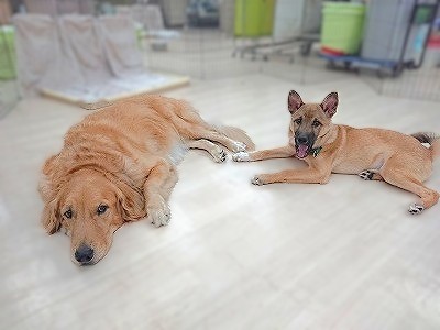 仲良しこよし♪