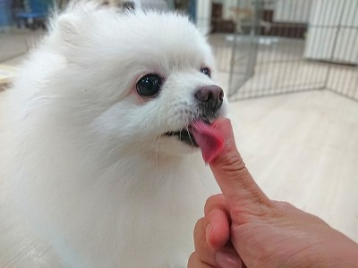 ここも美味しい❗✨✨