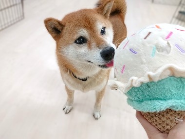 仕方ないな～😏