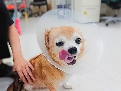 計画通り😀✨