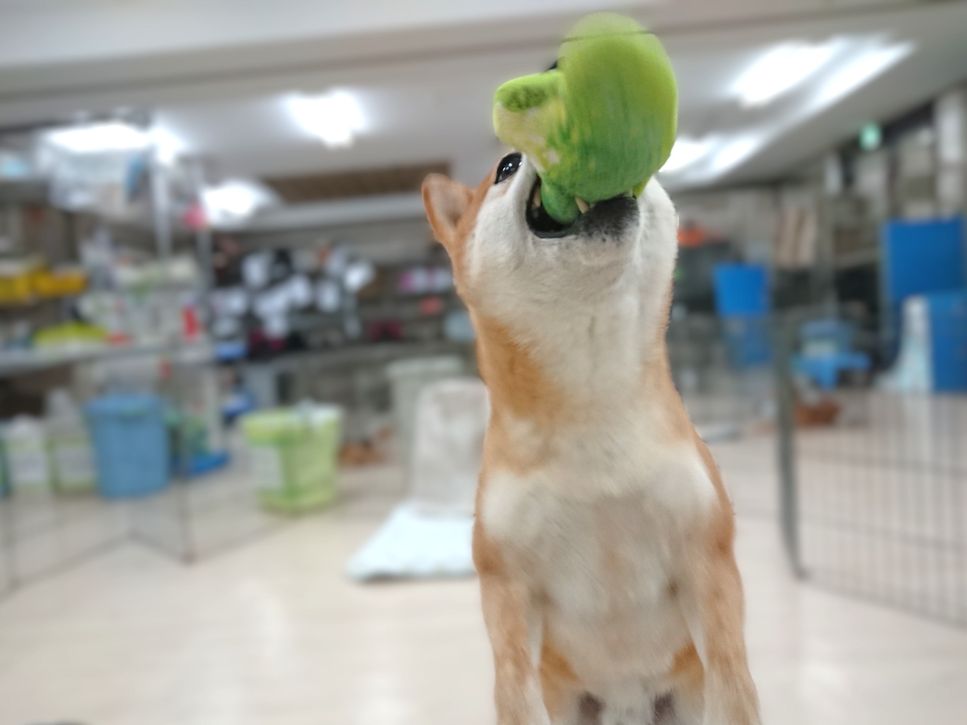 百発百中